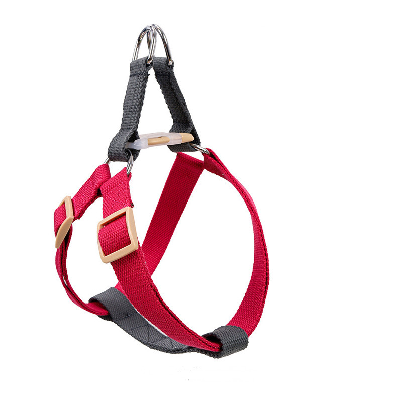 Leash in use