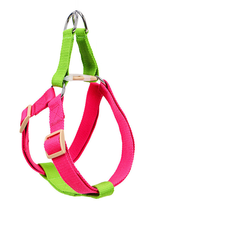 Stylish dog leash