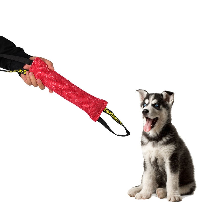 Dog Training Bite Stick in Red