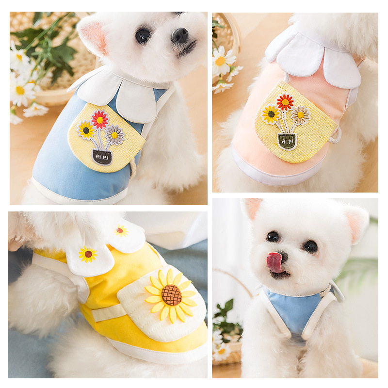 Adorable Cat Clothes