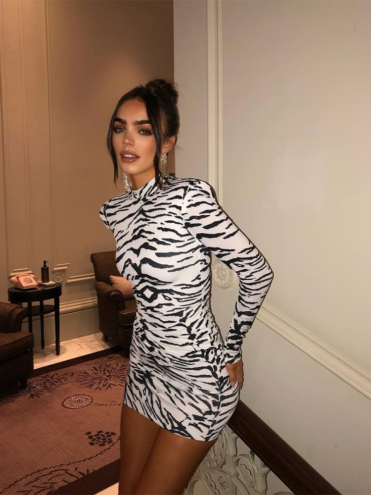 Half Turtleneck Zebra Print Dress Image 6