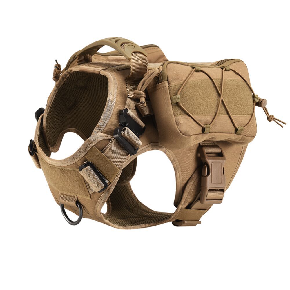 Dog in Tactical Vest