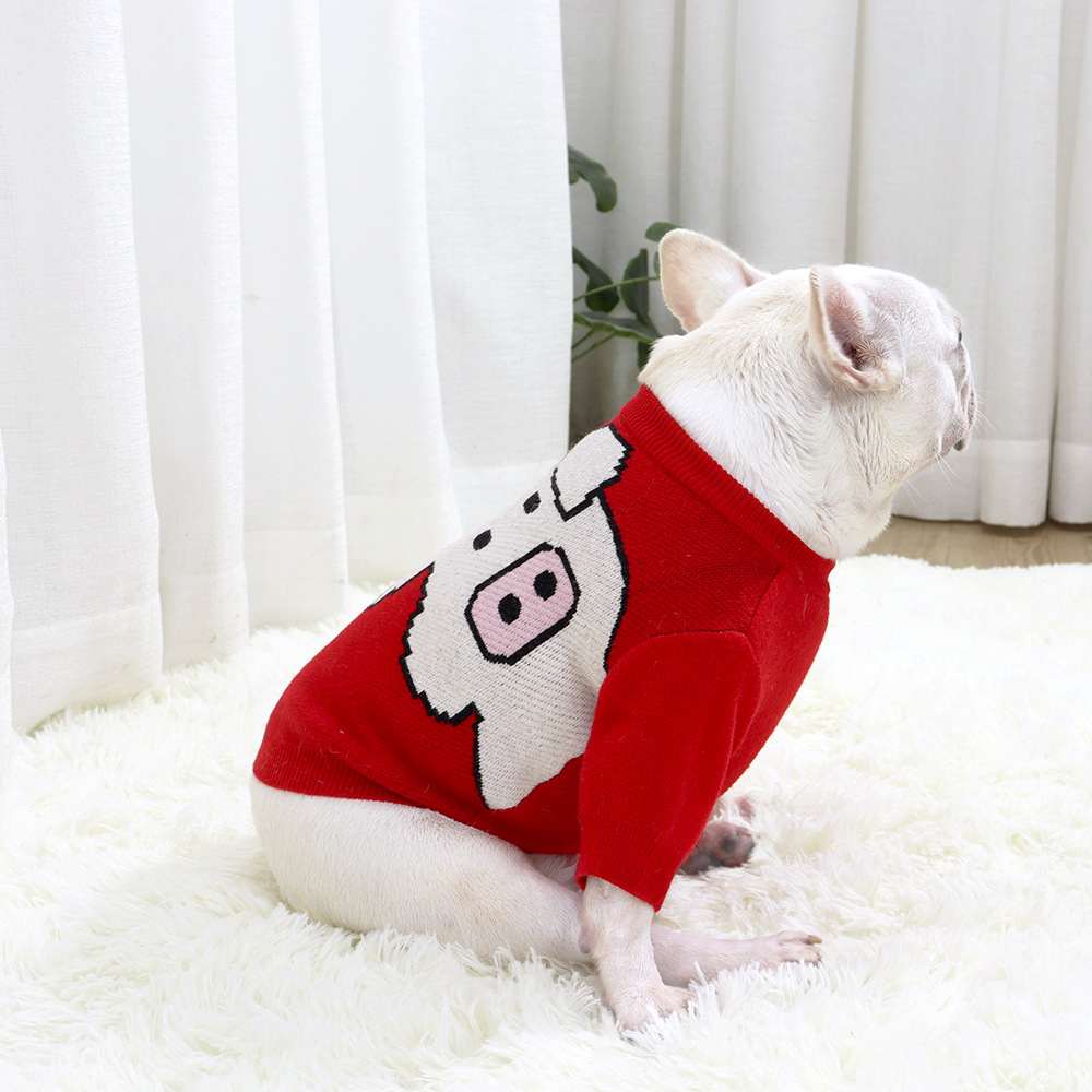 Cute dog in Fadou Clothes Sweater
