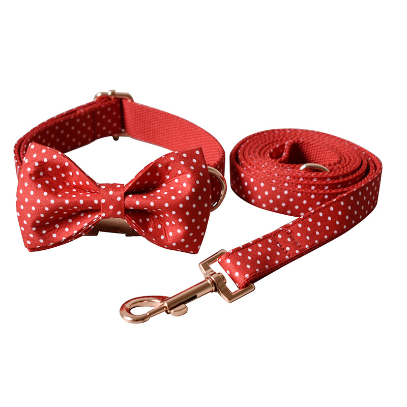 Dog Collar Design 5