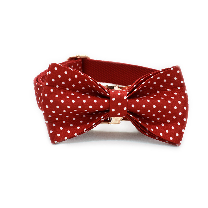 Dog Collar Design 3