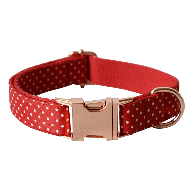 Dog Collar Design 1