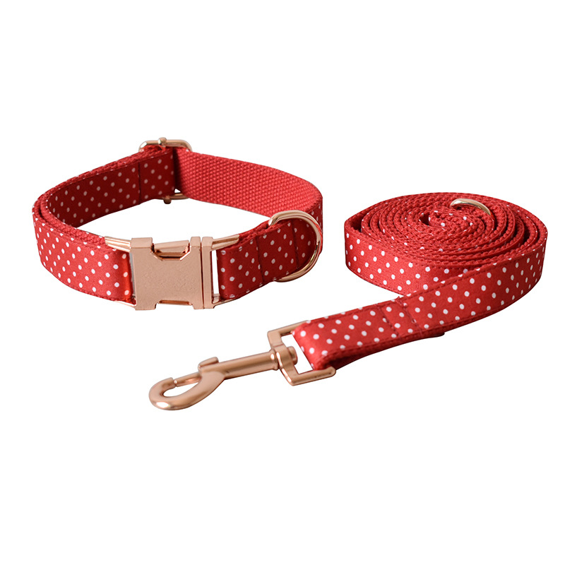 Dog Collar Design 4