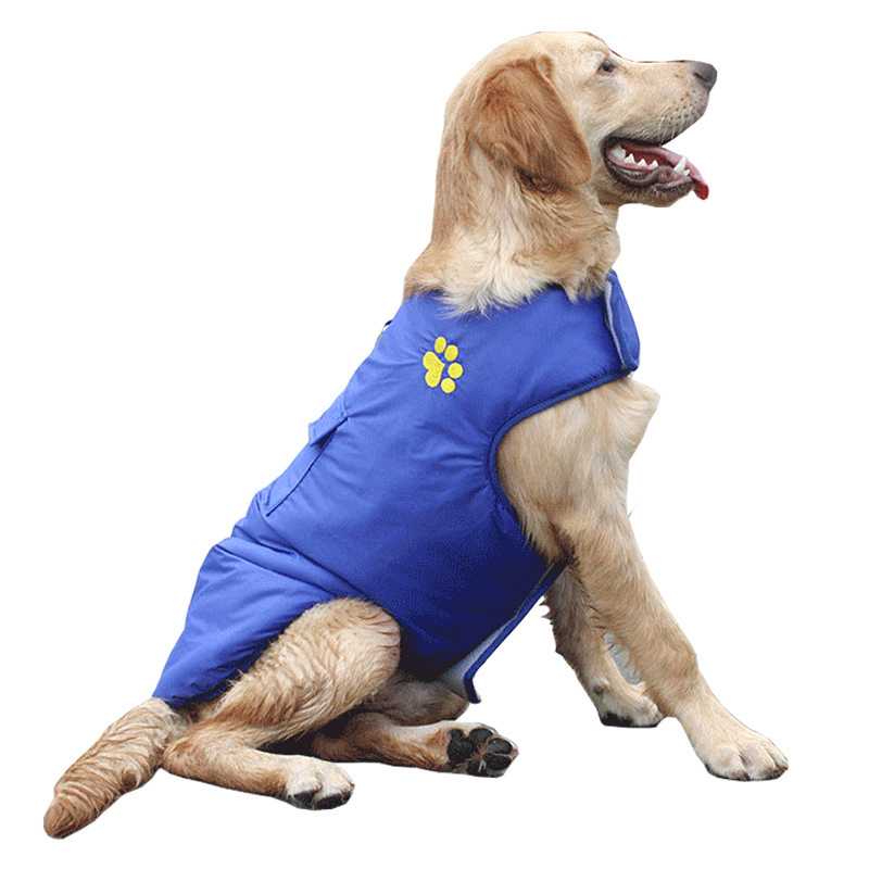Dog Vest in Use