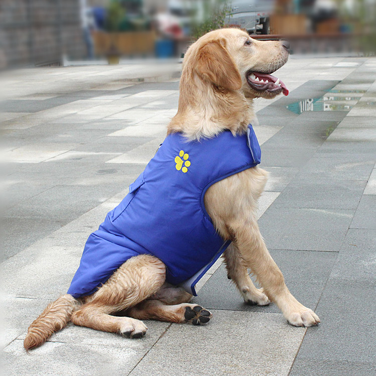 Comfortable Dog Jacket