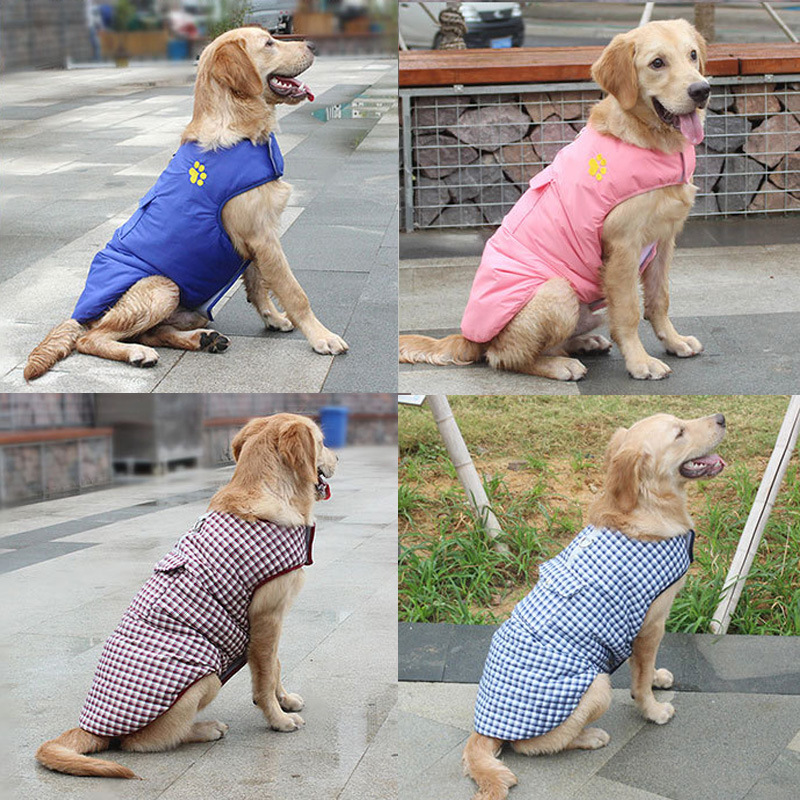 Stylish Dog Vest