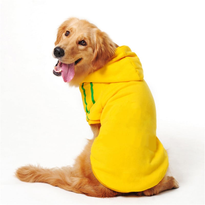Pet Clothes Image 1