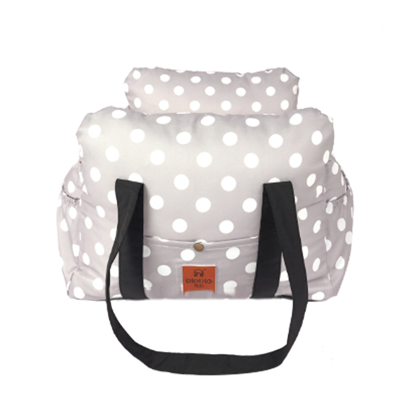 Travel Carrier for Pets