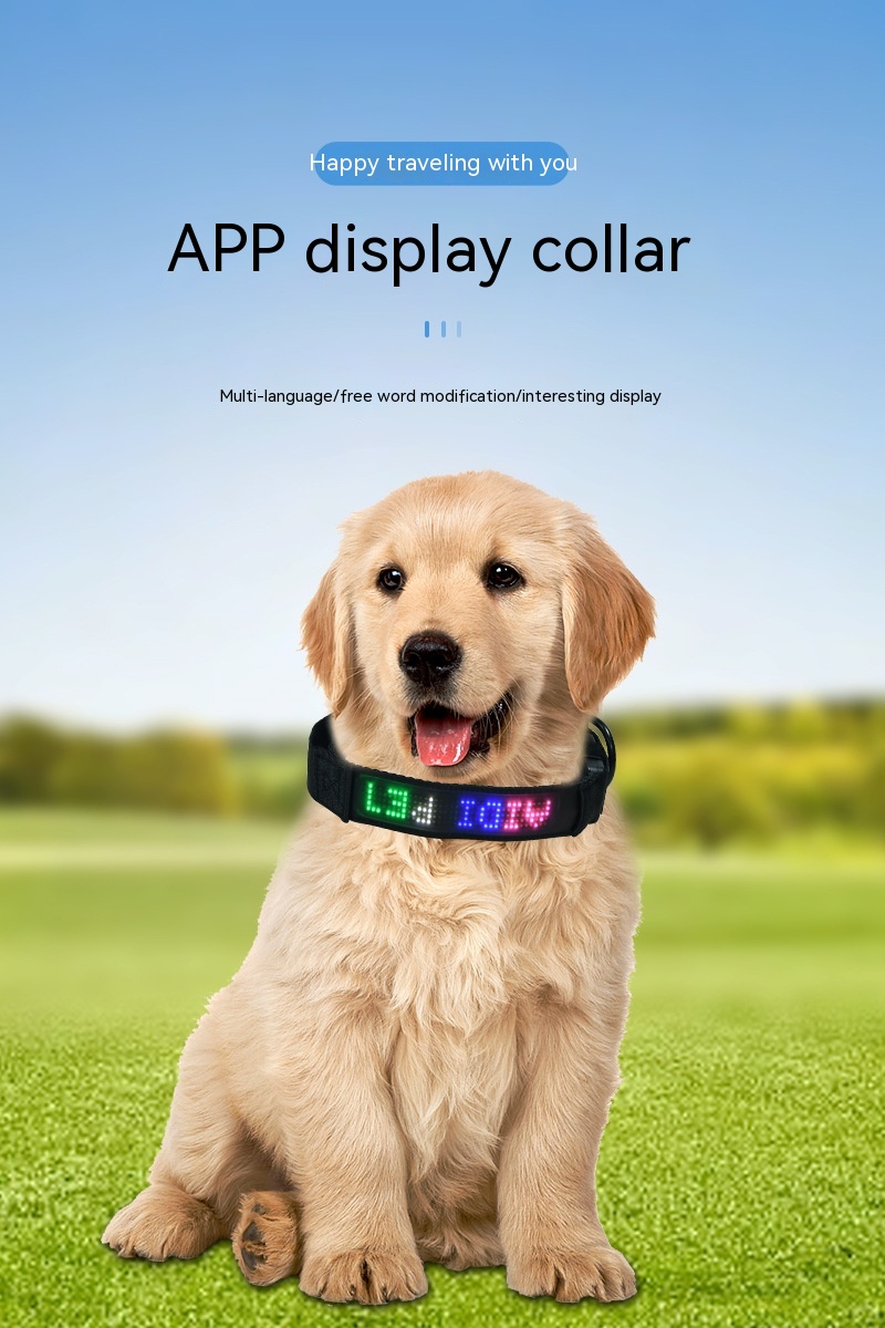 Dog Harness Image 2