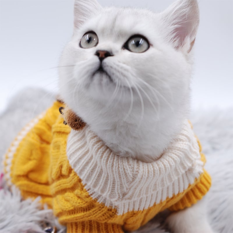 Sweater Color Options