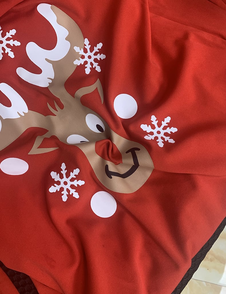 Women's Christmas Dress 2
