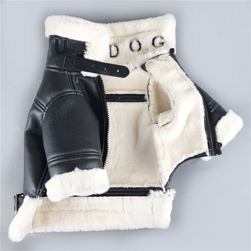 Dog Clothes 6