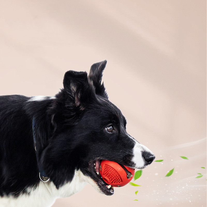 Missing Food Alone Card Food Elastic Solid Ball Image 3