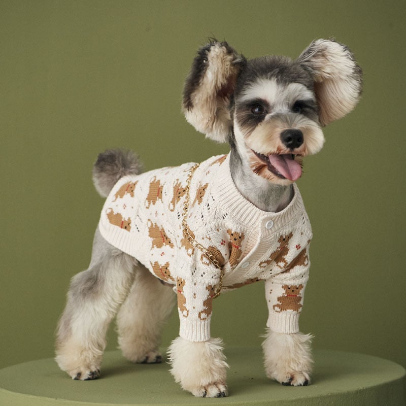 Pomeranian Jacket Image 5