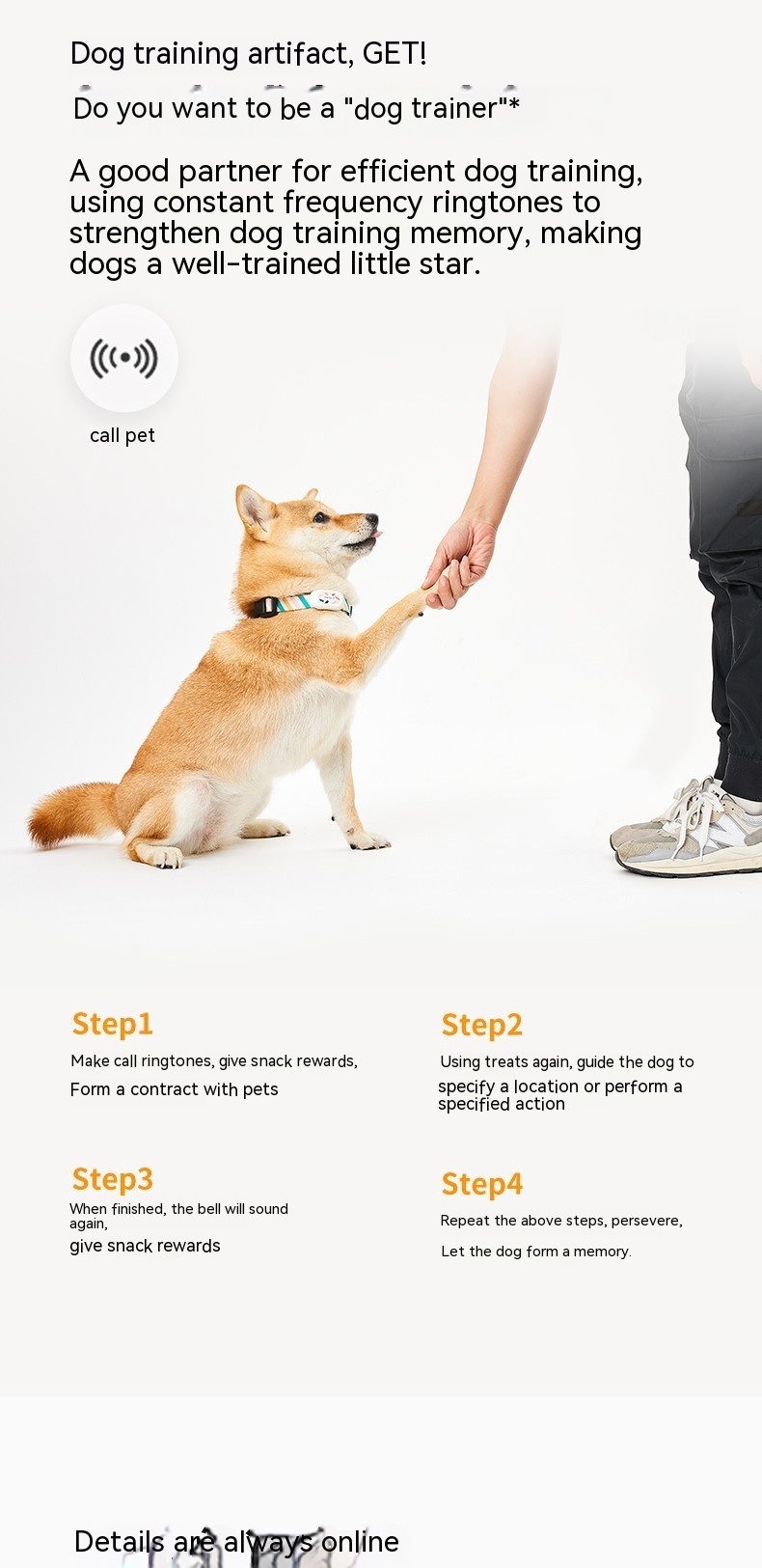 Perfect for Dogs and Cats