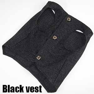 Dog Suit Image