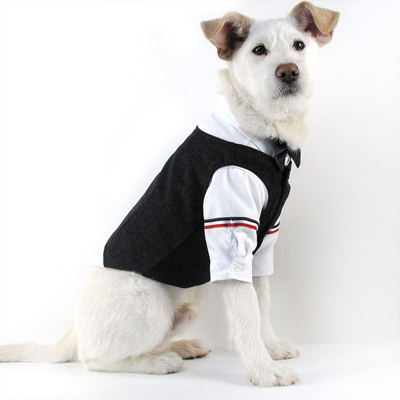 Dog Suit Image