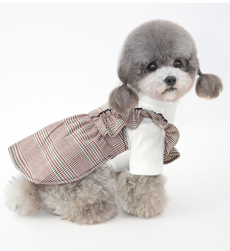 Stylish Small Dog Clothes