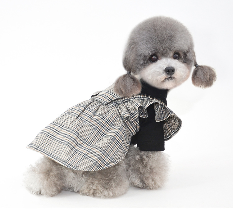 Cute Small Dog Clothes