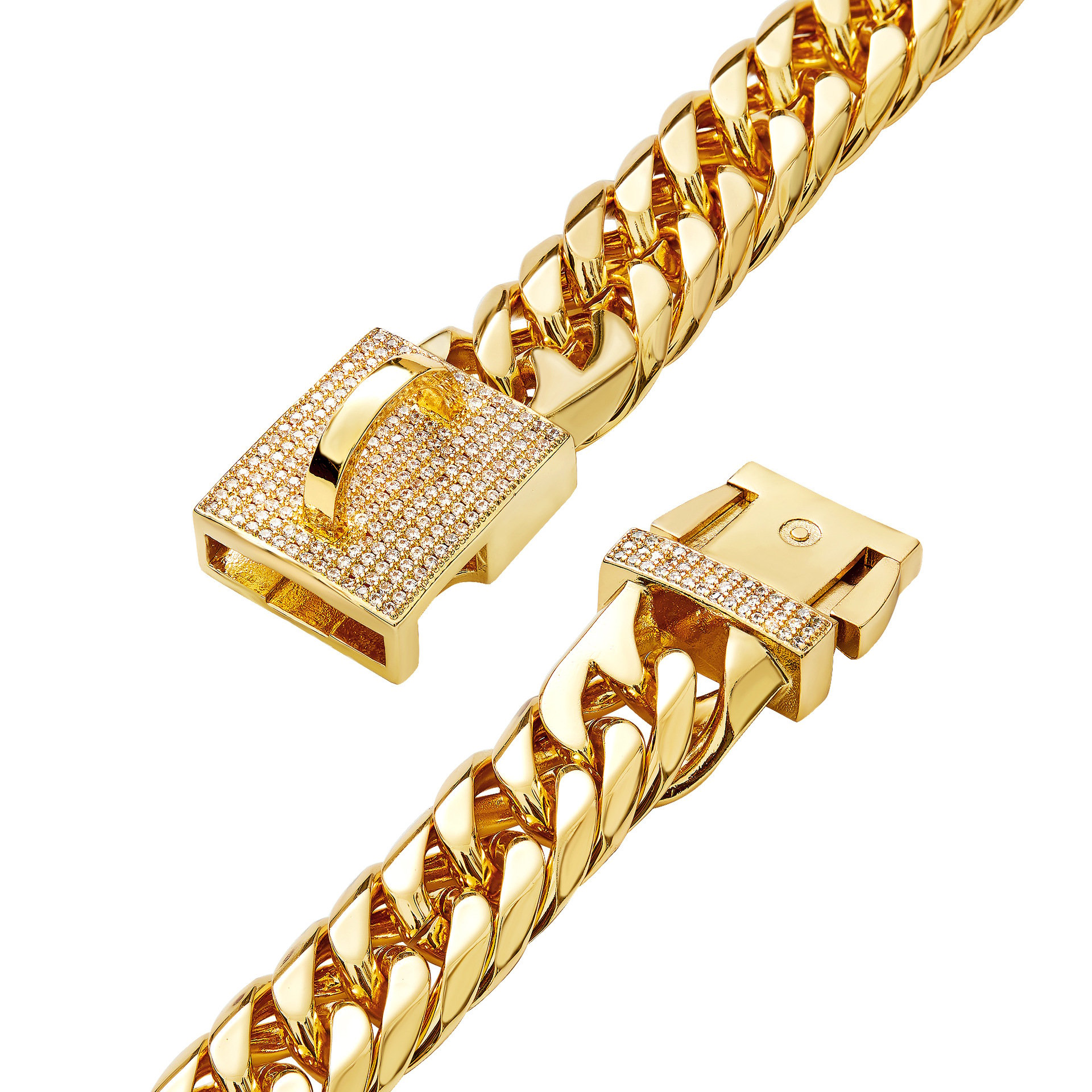 Golden Chain on Dog