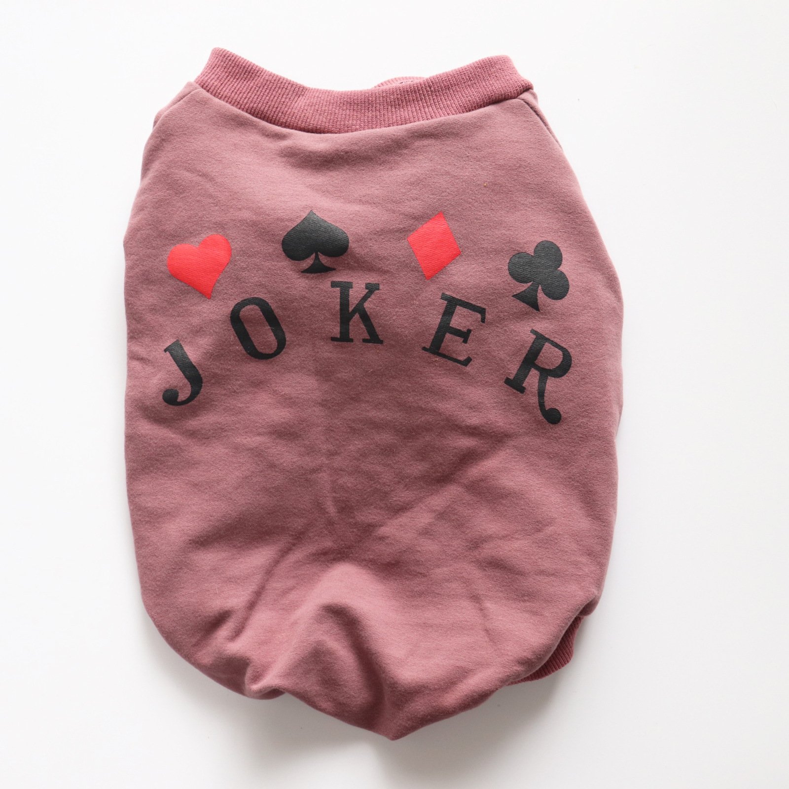 Schnauzer Teddy Dog Sweatshirt 3
