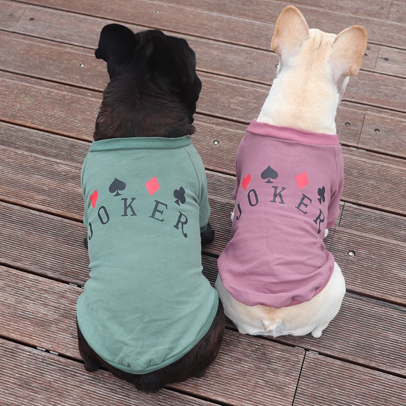 Schnauzer Teddy Dog Sweatshirt 6