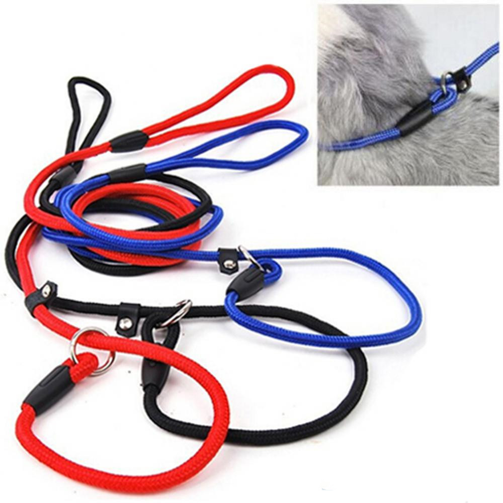 Stylish Dog Leash