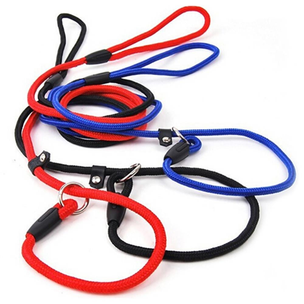Blue Dog Leash