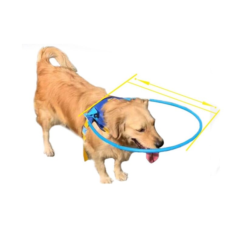 Anti-collision pet collar
