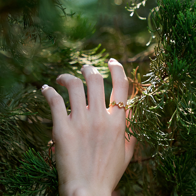 Ring Image 3