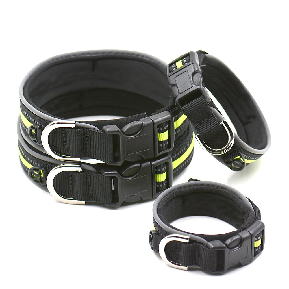Pet Collars