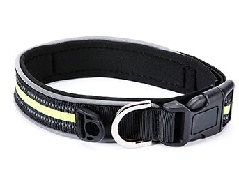 Pet Collars