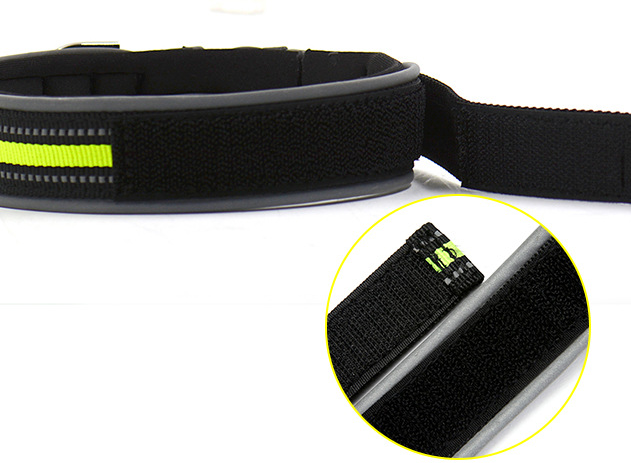 Pet Collars