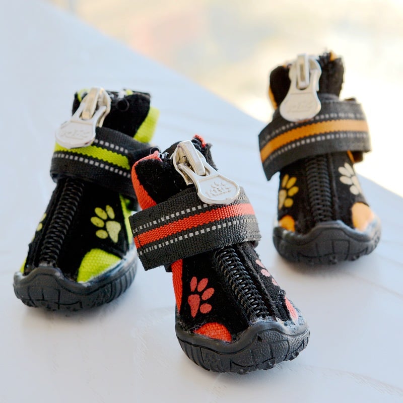 Dog Shoes Orange