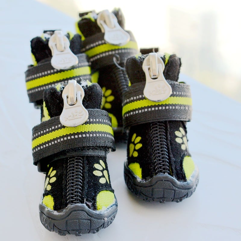 Dog Shoes Green