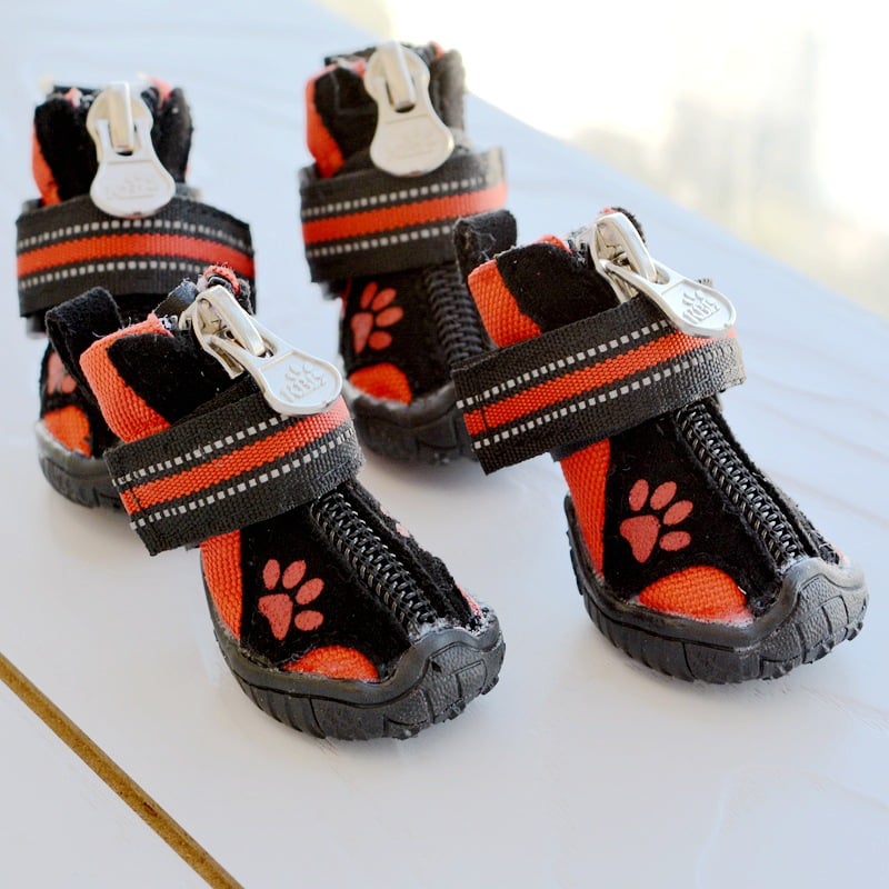 Dog Shoes Red
