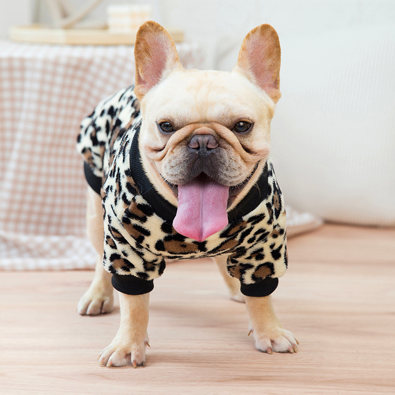 Dog Jacket Image 2