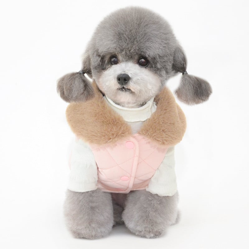 Pet Cotton Warm Winter Clothes Image 3