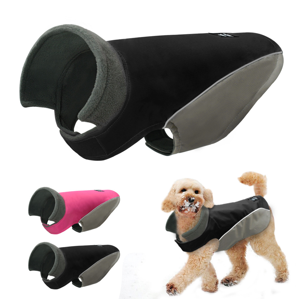 Dog in black ski suit