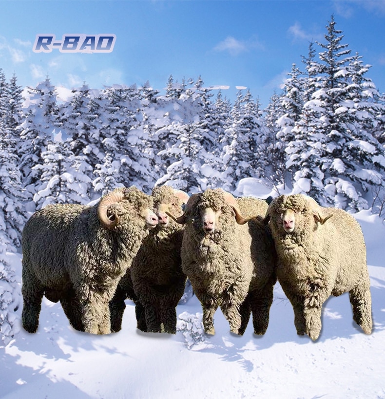 High Tube Adventure Socks - Trail Ready