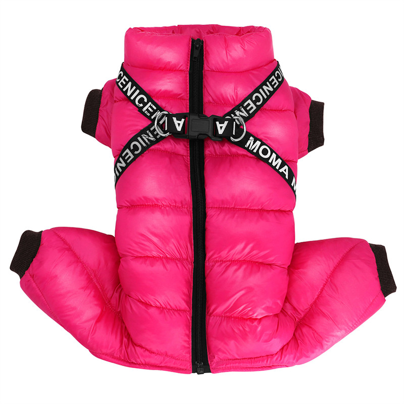 Puppy Clothing Image 2