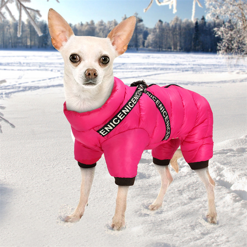 Puppy Clothing Image 7