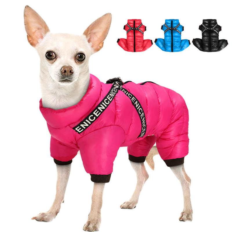 Puppy Clothing Image 1
