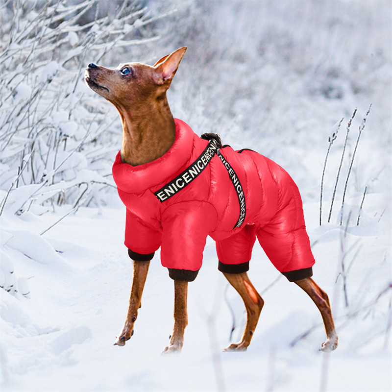 Puppy Clothing Image 6