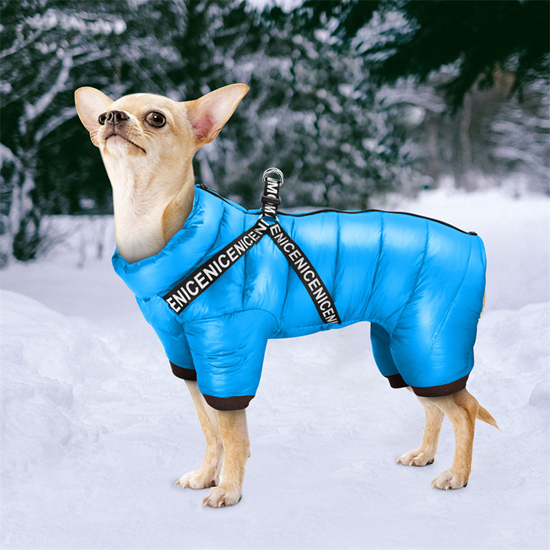 Puppy Clothing Image 8