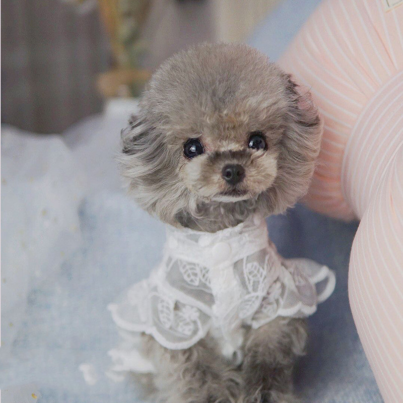 Pet Skirt Image 1
